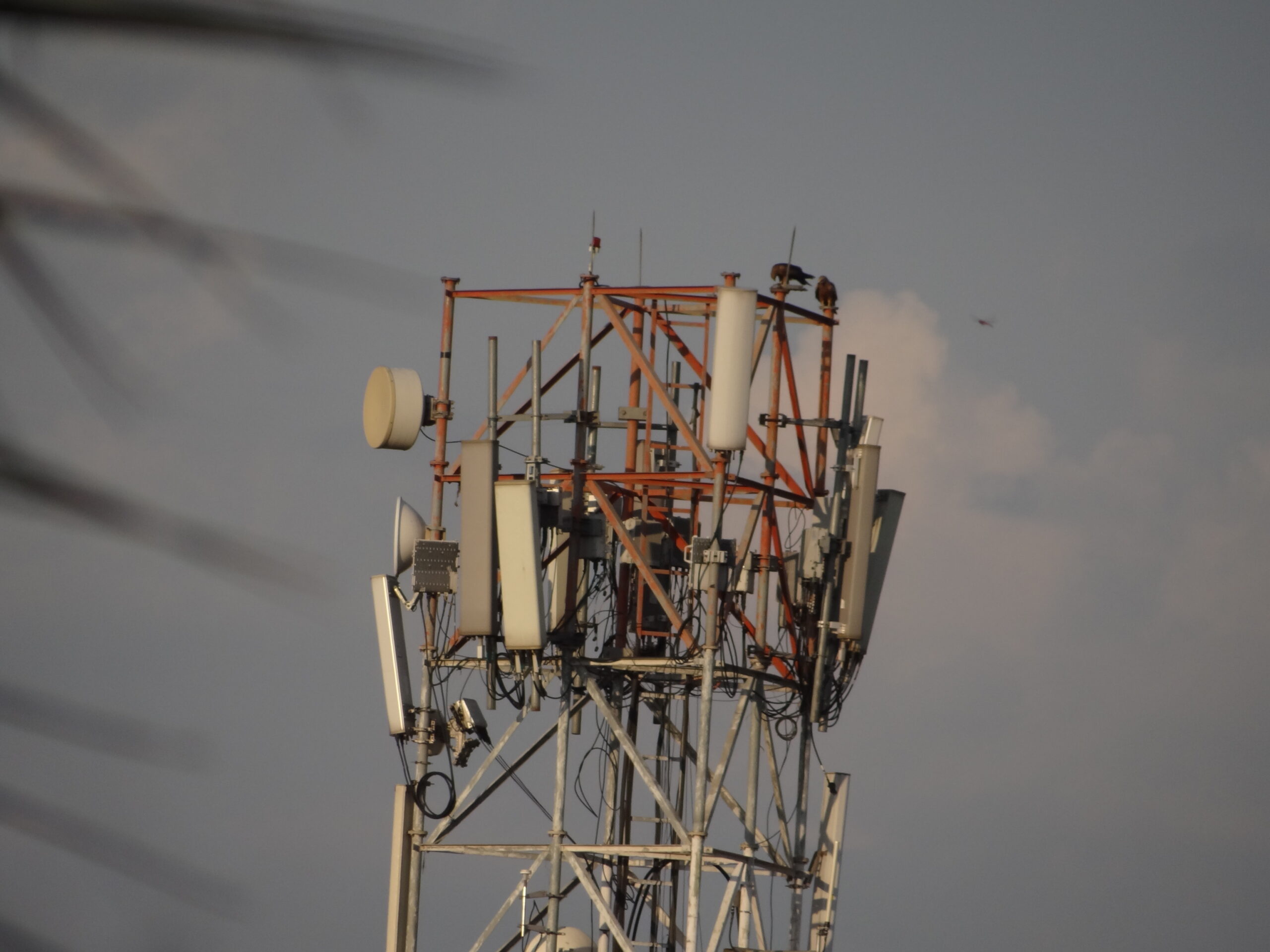 Statement Describes the Use of Powerline Networking Technology